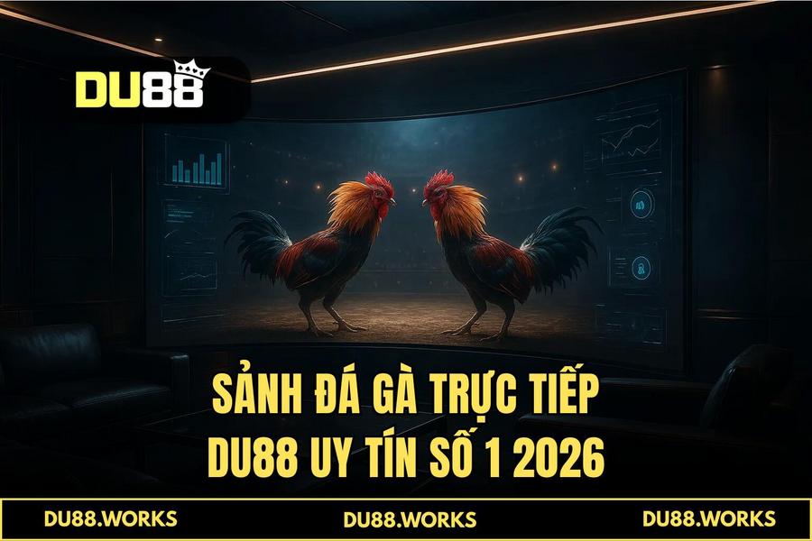 Tại sao DU88 là sự lựa chọn số 1 của cộng đồng đam mê đá gà trực tuyến 2026