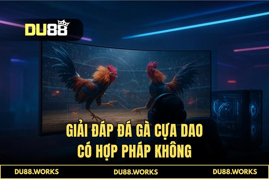 Công nghệ truyền hình trực tiếp 4K và hệ thống AI VAR giám sát trận đấu tại DU88