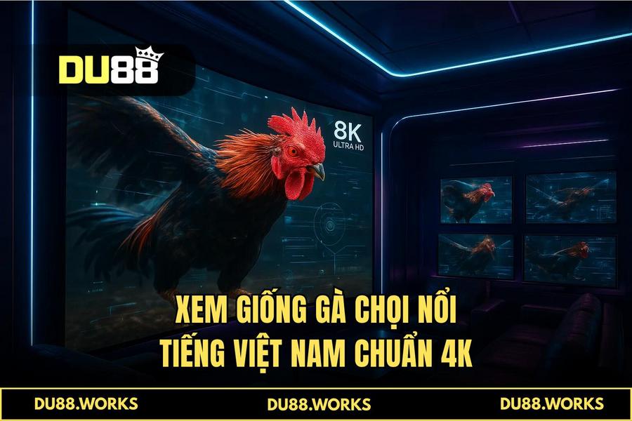 Công nghệ truyền hình trực tiếp 4K và hệ thống AI VAR giám sát trận đấu tại DU88