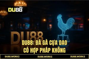 Đá gà cựa dao có hợp pháp không? Chơi an toàn tại DU88 2026
